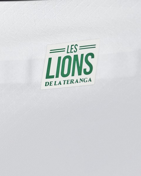 Coppa del mondo 2022 Maglia Senegal Divisa Prima Coppa del mondo 2022 Maglia Senegal Divisa Prima